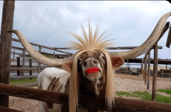 ISLAND ADVENTURE PARK